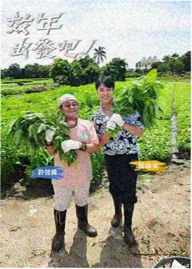 老唱片的夏天电影剧照